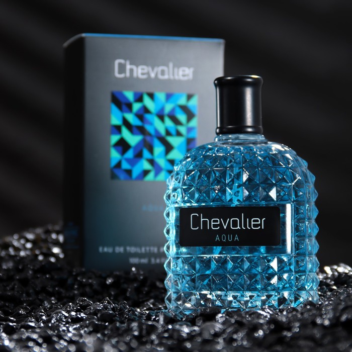 

Туалетная вода мужская Chevalier Aqua, 100 мл (по мотивам Versache Eau Fraishe)
