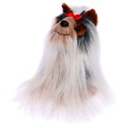 Мягкая игрушка «Йоркширский Терьер», 20 см - фото 25525566