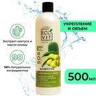 Шампунь ECOANDVIT ORGANIC OIL Укрепление и объем для жирных волос у корней, 500 мл 9778655 - фото 10583426