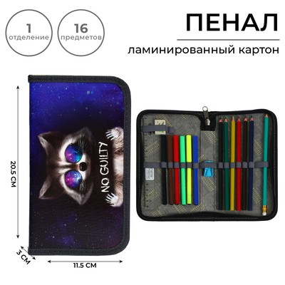 Пенал школьный с наполнением Calligrata «Енот», 1 секция, 115×205 мм, 16 предметов, ламинированный картон