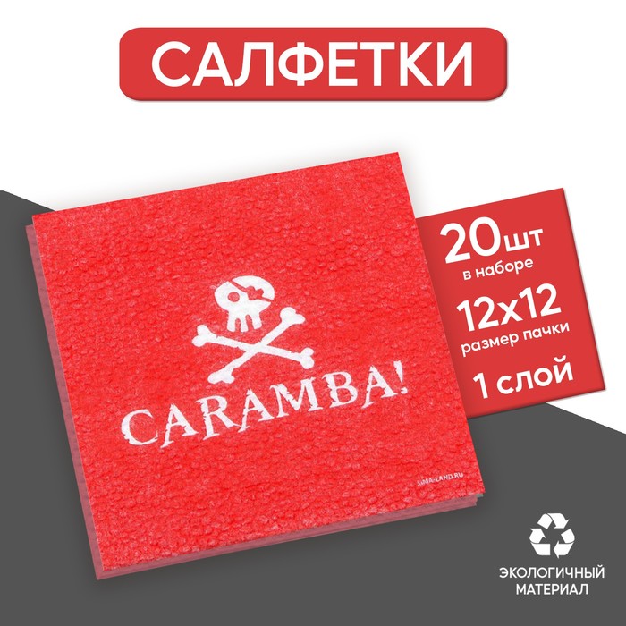Салфетки бумажные однослойные «Пираты», 24 × 24 см, в наборе 20 шт.