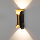 Декоративная подсветка светодиодная 10Вт 3500К чёрный/золото IP54 для интерьера, фасадов зданий - фото 4301080