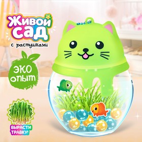 {{productViewItem.photos[photoViewList.activeNavIndex].Alt || productViewItem.photos[photoViewList.activeNavIndex].Description || 'УЦЕНКА Набор для опытов «Живой сад: Кошечка», вырасти травку'}}