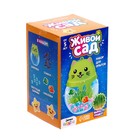 УЦЕНКА Набор для опытов «Живой сад: Кошечка», вырасти травку - Фото 6