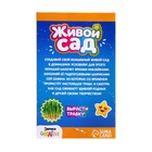 УЦЕНКА Набор для опытов «Живой сад: Кошечка», вырасти травку - Фото 8
