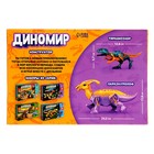 УЦЕНКА Конструктор «Диномир», тиранозавр и паразауролоф, звуковые эффекты, 17 деталей - Фото 4