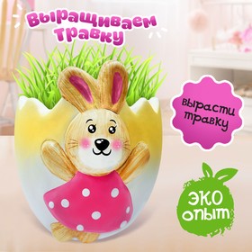 {{photo.Alt || photo.Description || 'Набор для опытов «Выращиваем травку», зайка, уценка'}}