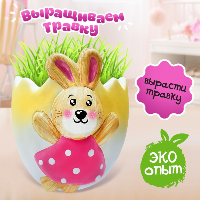 Набор для опытов «Выращиваем травку», зайка, уценка - Фото 1