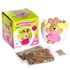 Набор для опытов «Выращиваем травку», зайка, уценка - Фото 2