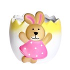 Набор для опытов «Выращиваем травку», зайка, уценка - Фото 4