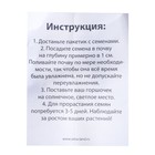 Набор для опытов «Выращиваем травку», зайка, уценка - Фото 5