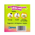 Набор для опытов «Выращиваем травку», зайка, уценка - Фото 7
