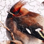 Пазл фигурный «Зимняя птица», 108 деталей, 20 × 25 см - Фото 2