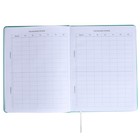 Дневник универсальный для 1-11 класса Kitties, твёрдая обложка, искусственная кожа, шелкография, ляссе, 80 г/м2 - фото 22493942