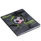 Дневник универсальный для 1-11 класса Strike, твёрдая обложка, искусственная кожа, шелкография, ляссе, 80 г/м2 - фото 22493997