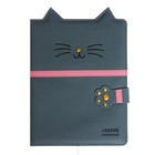 Дневник универсальный 1-11 класса Kitty, твёрдая обложка с поролоном, с хлястиком, ляссе, блок 80 г/м2 - фото 321391267