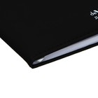 Дневник универсальный для 1-11 класса Unique, твёрдая обложка, искусственная кожа, с поролоном, ляссе, 80 г/м2 - фото 7075721