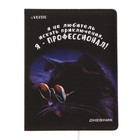 Дневник универсальный для 1-11 класса "Я не любитель,я-профессионал!", твёрдая обложка, искусственная кожа, с поролоном, ляссе, 80 г/м2 9364092 - фото 10585986