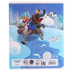 Тетрадь в клетку 12 листов, 5 видов МИКС, обложка мелованный картон, «Холодное сердце» - Фото 9