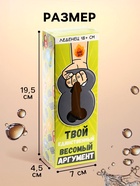 Леденец XXL в коробке «Твой аргумент», 140 г - Фото 3