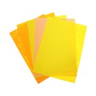 Фетр цветной жесткий, А4, deVENTE "Оттенки желтого" 5 листов, 5 цветов, толщина 1.5 мм - фото 24617608