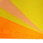 Фетр цветной жесткий, А4, deVENTE "Оттенки желтого" 5 листов, 5 цветов, толщина 1.5 мм - фото 24617609