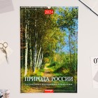 Календарь перекидной на ригеле "Природа России. Народные приметы" 2024 год, А3 - фото 4281171