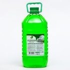 Средство для мытья посуды "ECONOM зелёное яблоко", 5 л - фото 10937196