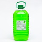 Средство для мытья посуды  "VEGA зелёное яблоко", 5 кг - фото 10586472