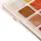 УЦЕНКА Акварель 24 цвета «Гамма Классическая», медовая, с кистью, пластик - Фото 3