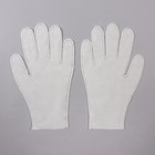 Перчатки хлопковые «Эконом», универсальный размер, пара, фасовка 12 пар, цвет белый - Фото 3