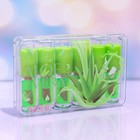 Масло для губ «Алоэ вера» (комплект 72 шт) - фото 22308561