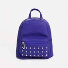 Рюкзак на молнии, наружный карман, цвет фиолетовый - фото 10588295