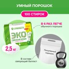 Порошок для стирки SYNERGETIC, универсальный, 100 стирок 9619264 - фото 13801597