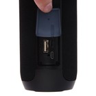 Портативная колонка Digma D-PS1510, 10Вт, BT, microSD,USB,AUX,FM, 1200мАч, черная - фото 51328653