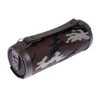 Портативная колонка Digma D-PS1520, 16Вт, BT, microSD,USB,AUX,FM, 1500мАч, камуфляж - фото 51328668 Портативная колонка Digma D-PS1520, 16Вт, BT, microSD,USB,AUX,FM, 1500мАч, камуфляж - фото 51328668