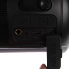 Портативная колонка Digma D-PS1523, 25Вт, BT, microSD,USB,AUX,FM, 1800мАч, черная - фото 51328675 Портативная колонка Digma D-PS1523, 25Вт, BT, microSD,USB,AUX,FM, 1800мАч, черная - фото 51328675