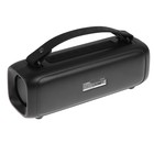 Портативная колонка Hyundai H-PS1020, 16Вт, BT, microSD, USB, AUX, FM, 1500мАч, черная - фото 51328730 Портативная колонка Hyundai H-PS1020, 16Вт, BT, microSD, USB, AUX, FM, 1500мАч, черная - фото 51328730
