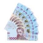 Пачка купюр "1000 украинских гривен" - фото 6959951