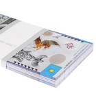 Пачка купюр "20000 тенге" 9789397