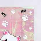 Обложка для тетрадей и школьного дневника «Мур», 34,7 х 21,1 см. (комплект 10 шт) - фото 23774711