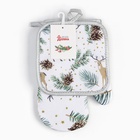 Кухонный набор (2 предмета) «Доляна. Олени», прихватка 17×17 см, варежка 26×16 см, 100% п/э  (артикул 9473776)  большой выбор товаров оптом и в розницу по низким ценам с доставкой