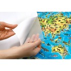 Деревянный пазл EWA «Большая карта мира», 501 деталь, 55x40 см - Фото 7