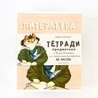 Тетради предметные, 48 л., набор из 10 шт. «Кот» - Фото 2