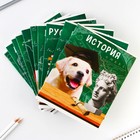 Тетради предметные, 48 л., набор из 10 шт.«Милые питомцы» - Фото 2