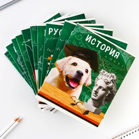 Тетради предметные, 48 л., набор из 10 шт.«Милые питомцы»