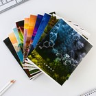 Тетради предметные, 48 л., набор из 10 шт. «Природа» - Фото 2