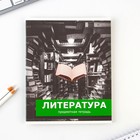 Набор тетрадей 48 листов, 10 предметов со справочным материалом «1 сентября: Предметы», обложка мелованный картон 230 гр внутренний блок в клетку/линейку, белизна до 80%. - Фото 10