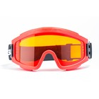 Очки защитные закрытые с непрямой вентиляцией ЗН11 PANORAMA (2-2 PС) поликарбонат - фото 24248576