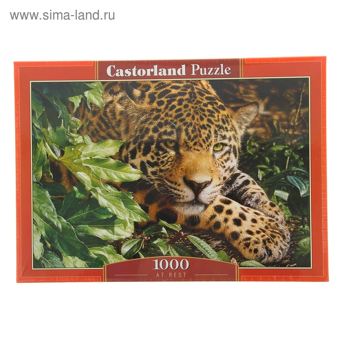 Пазлы "Леопард", 1000 элементов - Фото 1